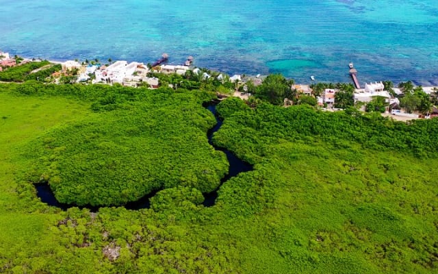 2 Cenotes Guided Snorkeling Adventure in Tulum photo 4
