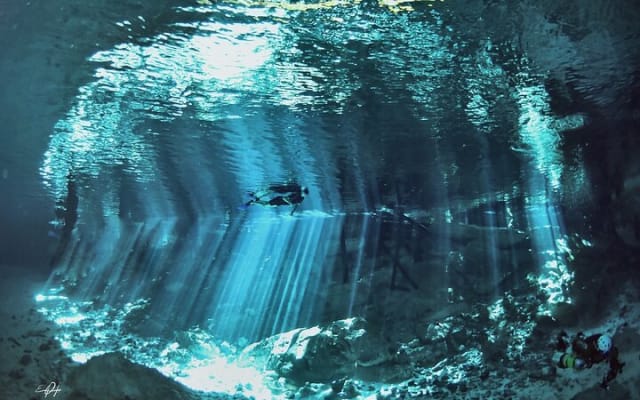 Tulum cenote diving. The ultimate experience in scuba photo 10