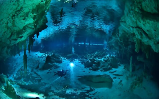 Tulum cenote diving. The ultimate experience in scuba photo 12
