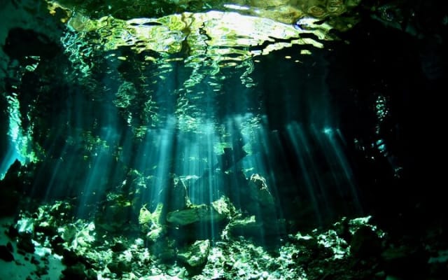 Tulum cenote diving. The ultimate experience in scuba photo 13