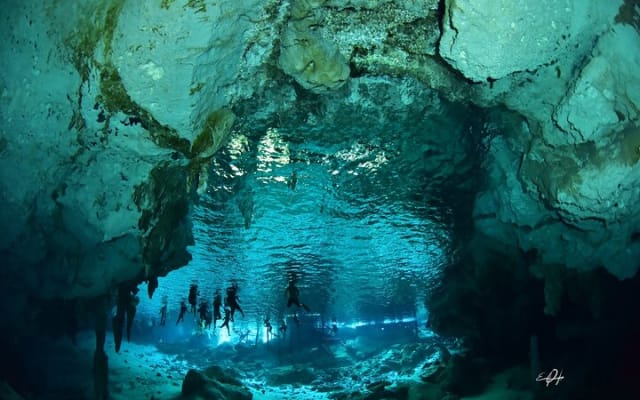 Tulum cenote diving. The ultimate experience in scuba photo 14