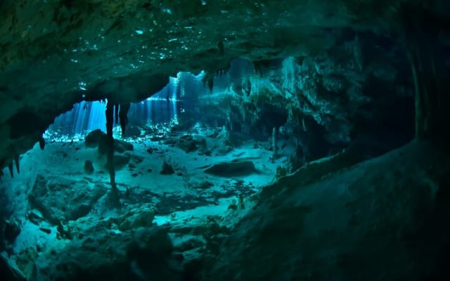 Tulum cenote diving. The ultimate experience in scuba photo 15