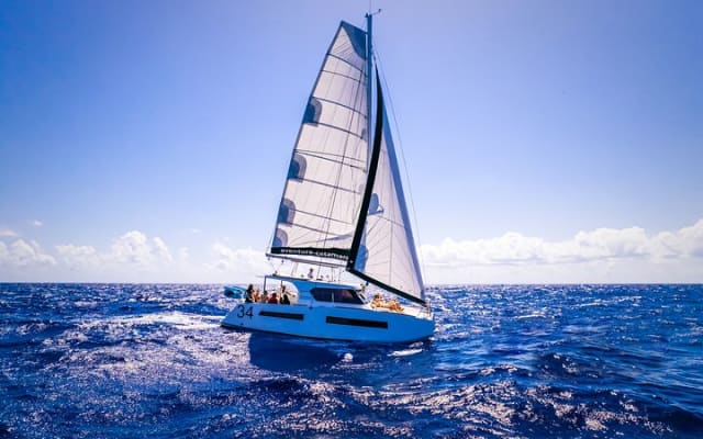 Tulum: Luxury Sail & Snorkel – All Inclusive 34' Catamaran photo 7