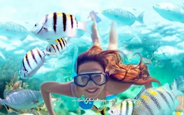 Xel-Há todo incluido con transporte desde Cancún y la Riviera Maya photo 6