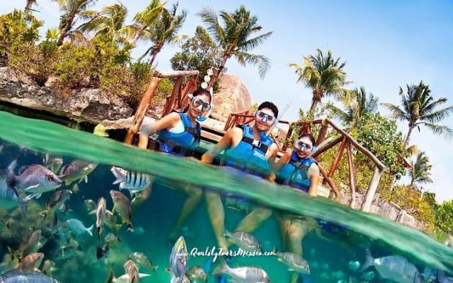 Xel-Há todo incluido con transporte desde Cancún y la Riviera Maya photo 7