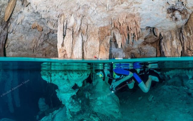 Private Cenote Snorkeling Tour – Tulum’s Hidden Gems photo 3