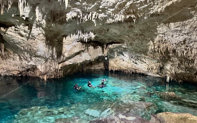 Private Cenote Snorkeling Tour – Tulum’s Hidden Gems photo 9