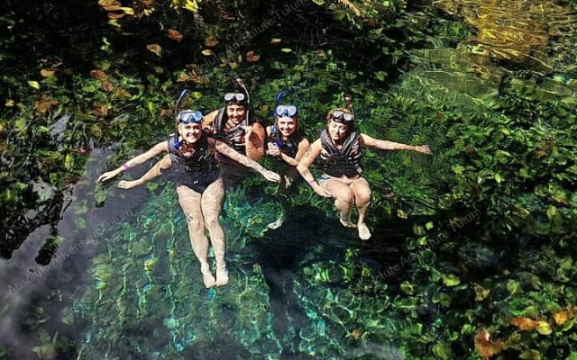 Private Cenote Snorkeling Tour – Tulum’s Hidden Gems photo 4