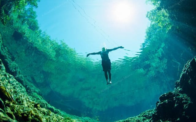 Cenotes Taak Bi Ha & Nicte Ha – VIP Snorkeling Private Tour photo 4
