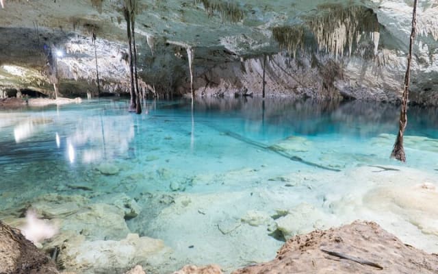 Cenotes Taak Bi Ha & Nicte Ha – VIP Snorkeling Private Tour photo 2