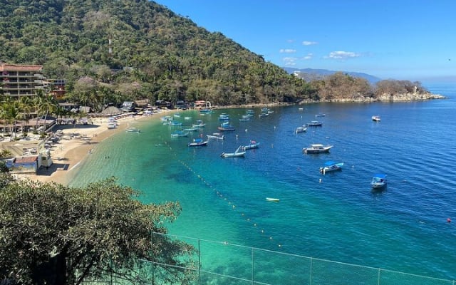 Private Tour of Puerto Vallarta and the Subtropical Forest