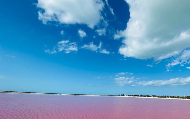 4 best spots in Cancún 1day! CHICHÉN ITZÁ, 2CENOTES, PINK LAKE photo 14