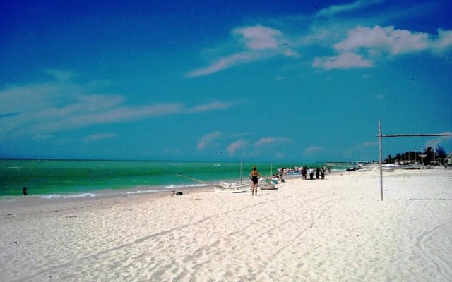 Tour to progreso, corchito and salt ponds photo 3