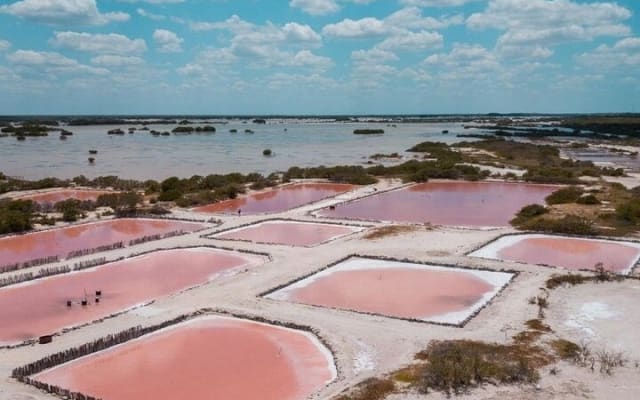 Tour to progreso, corchito and salt ponds photo 4