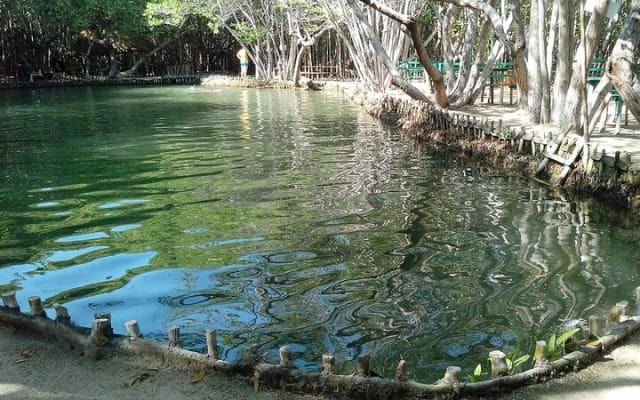 Tour to progreso, corchito and salt ponds photo 5