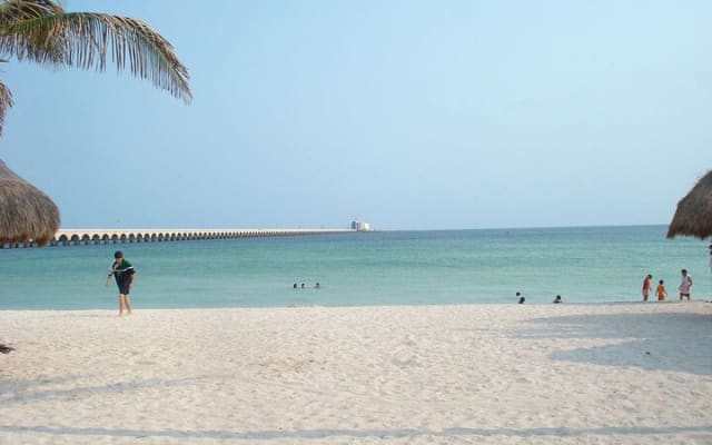 Tour to progreso, corchito and salt ponds photo 8