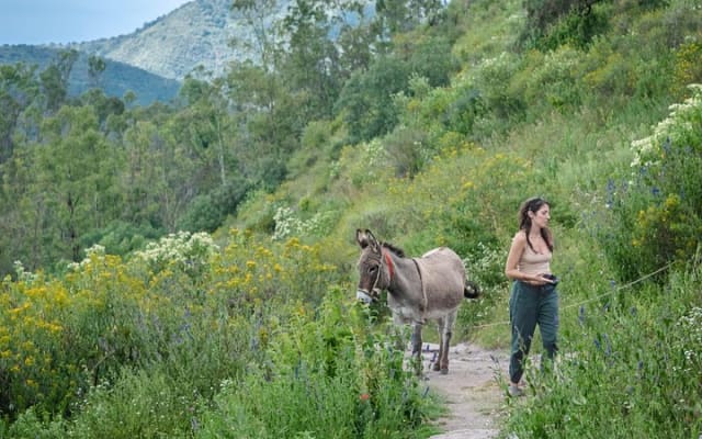 Experiencia única en teleférico, degustación de pulque y vistas inmejorables photo 6