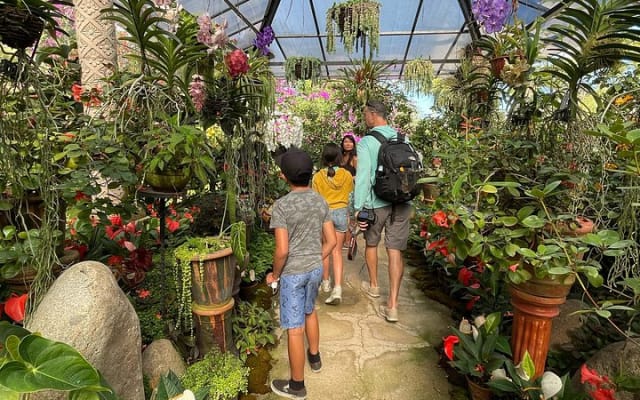 Puerto Vallarta Botanical Gardens Hiking Tour