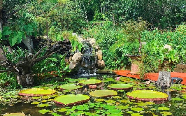 Randonnée au Jardin botanique de Puerto Vallarta photo 8
