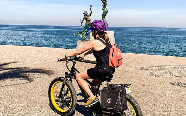 Excursion en montagne à vélo électrique à Puerto Vallarta photo 7