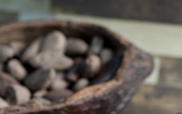 Tour a Uxmal, Cenote Sambula y Museo Choco Story photo 6