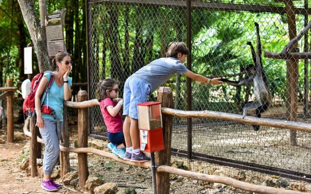 Tour a Uxmal, Cenote Sambula y Museo Choco Story photo 15