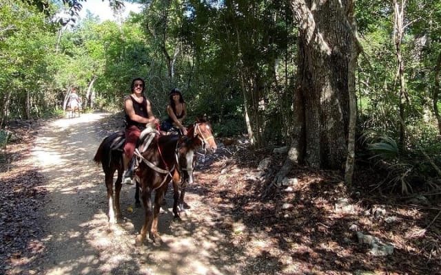 Horse Ride to Cenote Mil Columnas photo 8