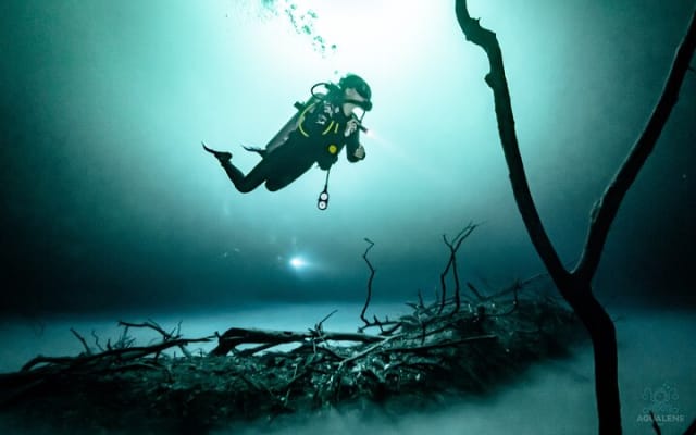 2 cenote divings (including one deep diving) for advanced divers in Tulum photo 3