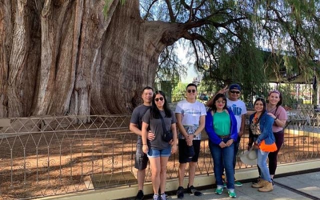 Tule, Mitla & Hierve el Agua Full-Day Tour with Certified Guide