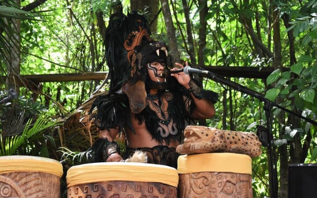 Cancun: Discover the Hidden Treasures: Exploring 3 Jungle Cenotes photo 7
