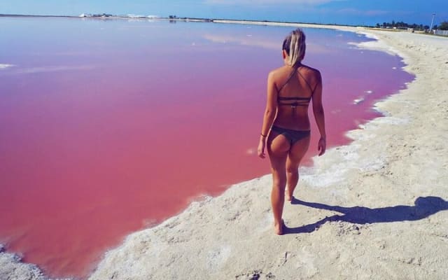 Natural Pink Lake Coloradas Transportation Included from Tulum photo 15