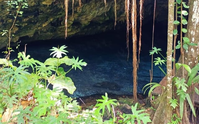 Akumal paradise tour Swimming with Turtles & ancient Tulum Ruins. Lunch included photo 8