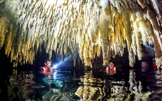 Half Day Shared Tour in Cenote Cave and Swimming with Turtles photo 12