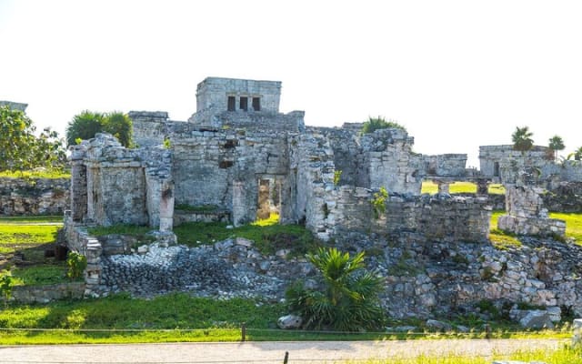 Tulum Ruins, Cenote Cave and Swimming with Turtles From Tulum photo 6