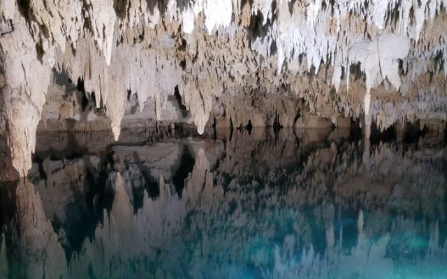 Private Half Day Swim with Turtles and Cenote photo 6