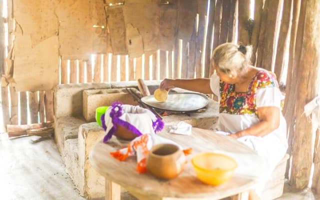 Half a Day Tour to Coba Ruins with Cenote and Mayan Village photo 8