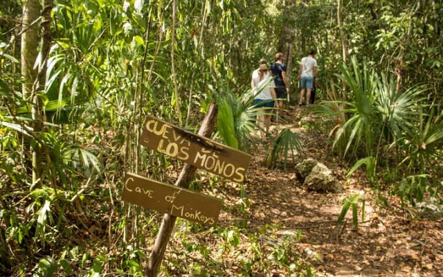 Private Coba Ruins and Natural Reserve photo 8