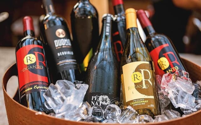 Mexican Wine Tasting Experience photo 6