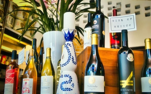 Mexican Wine Tasting Experience photo 3
