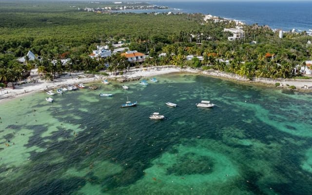 From Tulum: Akumal Beach Swim and Snorkel with Turtles Experience photo 9