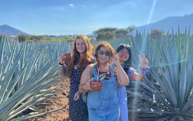 Tequila Pueblo Magico Adventure Day Trip from Puerto Vallarta
