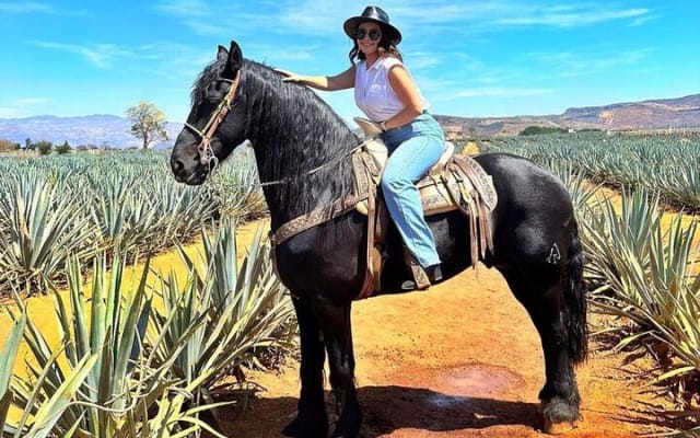 Aventura de un día al Pueblo Mágico de Tequila desde Puerto Vallarta photo 2