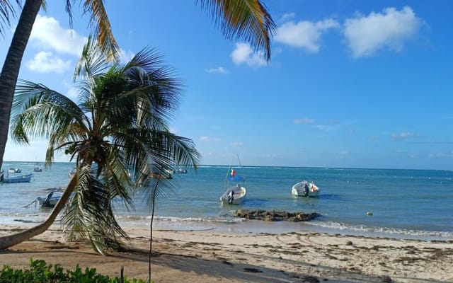 Nager avec les tortues d'Akumal photo 10