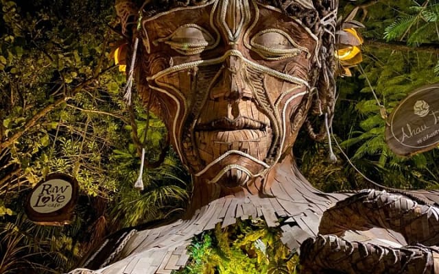 Experience this tour to Tulum, an artistic picture spot and cenotes adventure. photo 12