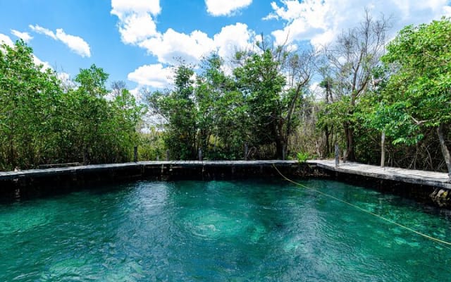 Magical adventure in Holbox. Discover the Passion island & Cenote Yalahau photo 6