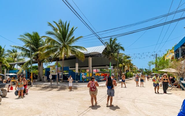 Fall in love with the Holbox island tour, Punta Mosquito & lunch. photo 10