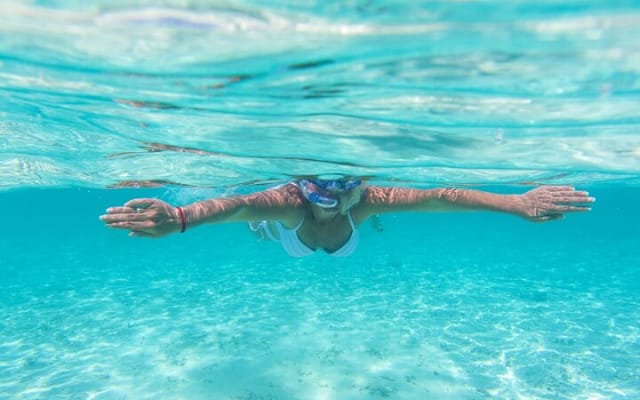 The most exciting Snorkel Tour at El Cielo reef. Discover the sky in the sea. photo 5