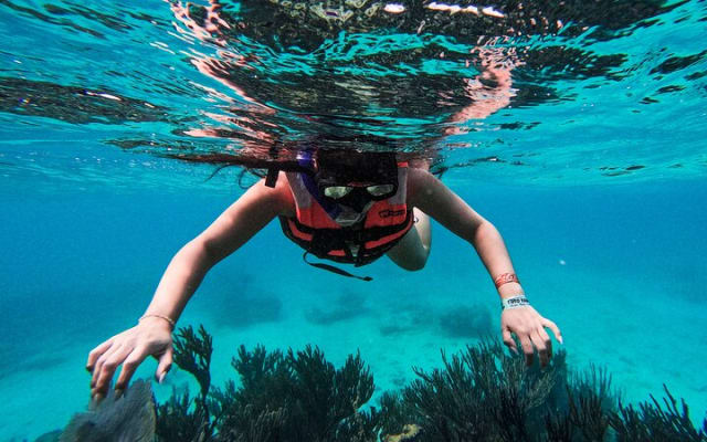 2-Hour Snorkeling in Two Spots of Tulum's Reef photo 9