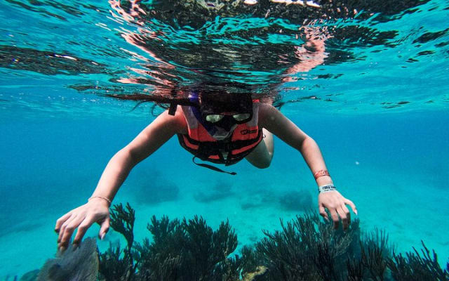 1.5 hours Snorkeling at Tulum's paradise reef photo 10