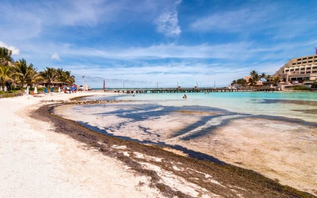 Isla Mujeres Catamaran, Open Bar and Beach Club Tour photo 10